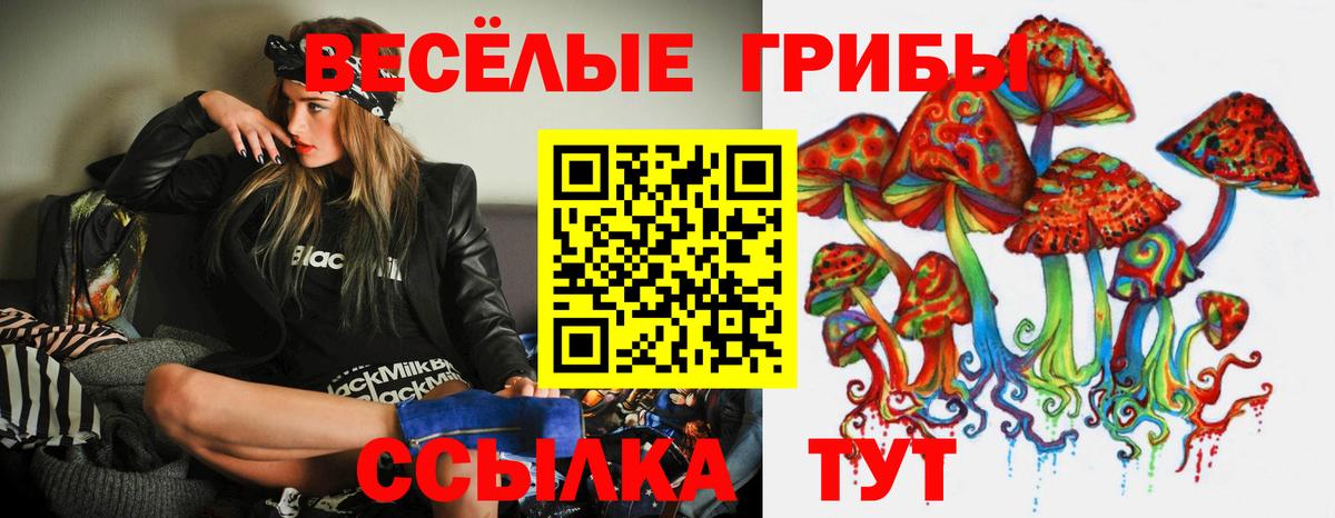 Псилоцибиновые грибы мицелий Калининград