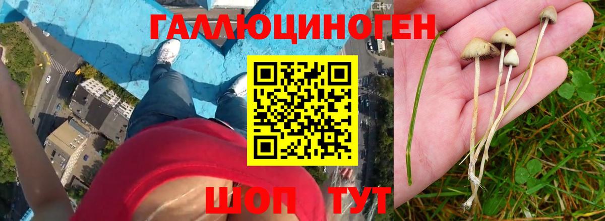 Калининград  Псилоцибиновые грибы ЛСД  Вход с VPN 
